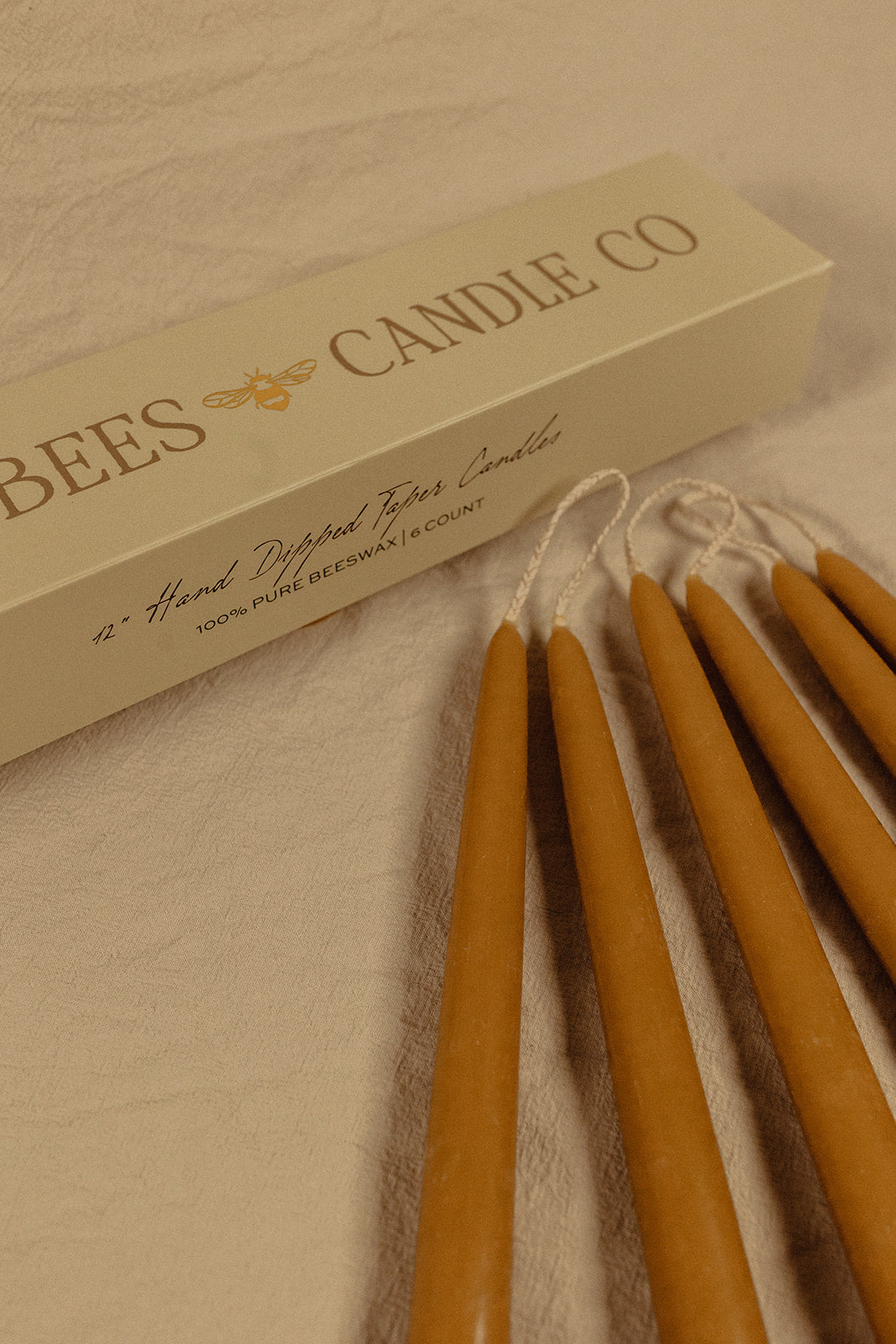 The Tall Candlestick Holder