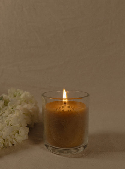 Classic Beeswax Jar Candle 12oz.