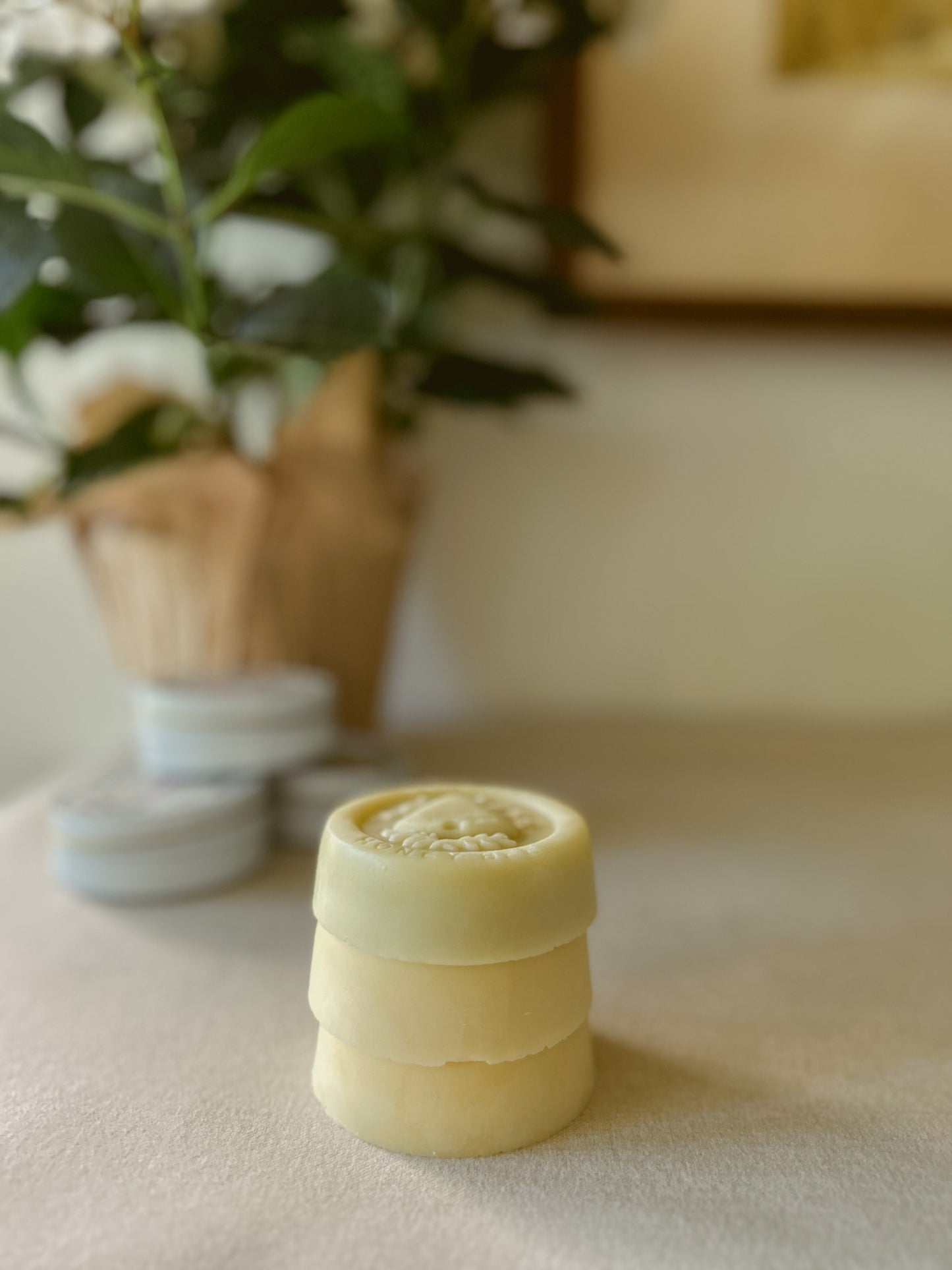 Lotion Bar Trio